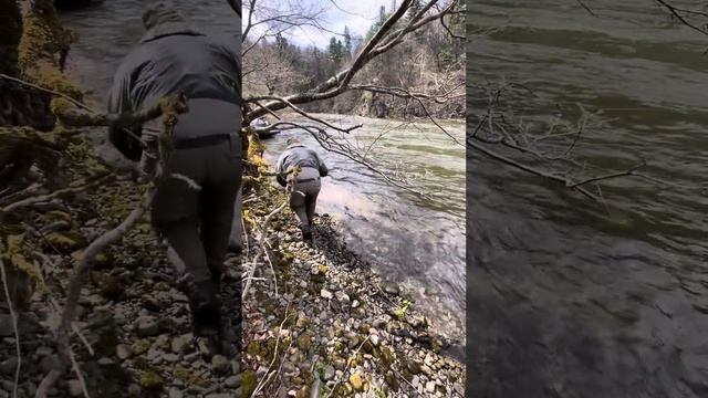 Трофейный таймень (ХОР) смотреть онлайн