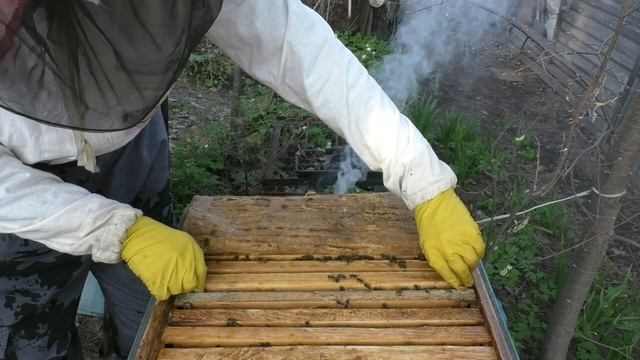 Первые магазины освоены Ставим вторые смотреть онлайн