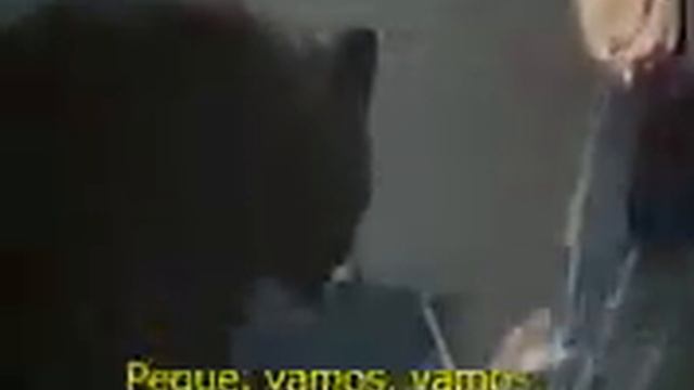 The Life And Times Of Grizzly Adams.Legendado Pt Br By LIRO 3/7 смотреть онлайн