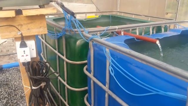 Mini Aquaponics system at Mlalakua Dar es salaam смотреть онлайн