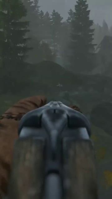 Slugs Or Buckshot In DayZ? What's Your Preference? смотреть онлайн