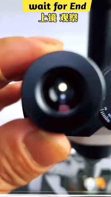 फिंगर को 🍟microscope में देखने पर 😲finger, Under The Microscope #shortsb #viralshorts #youtubeshort