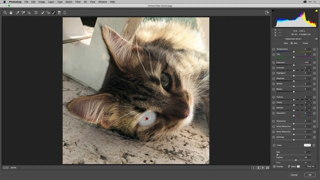 #isophoto: Using adjustment tools in Adobe Camera Raw Filter, with Tony Harmer смотреть онлайн