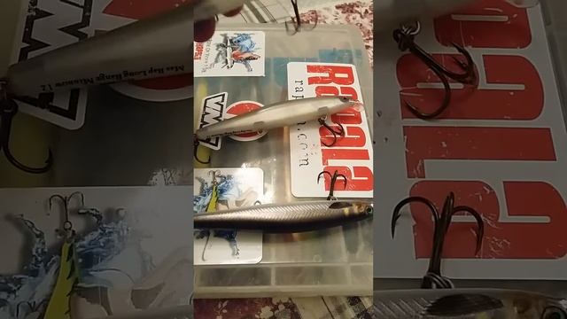 الطعم الإصطناعي الأكثر فاعلية من الشركة 🌍 العالمية rapala max rap roag rangé minnow 20g 🔝 spinning смотреть онлайн