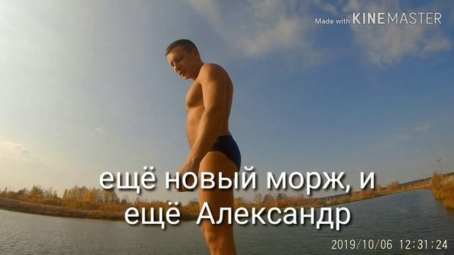 Tomskie morzhy TV, 06.10.2019, Мир-Дружба-Жевачка смотреть онлайн