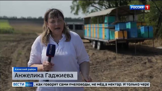4 ноября 2023 г. смотреть онлайн