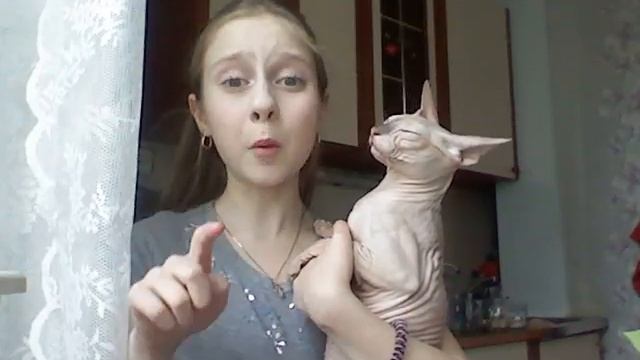 Моя кошка смотреть онлайн