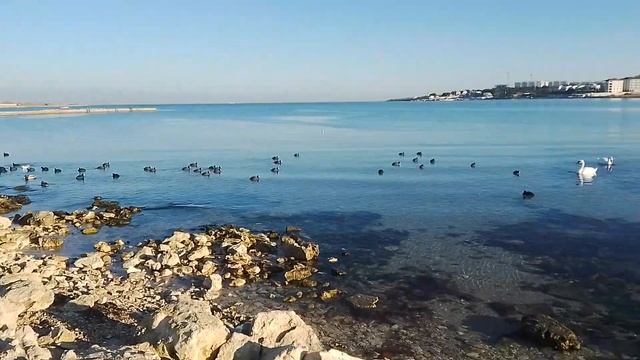 пёсик Гоша смотреть онлайн