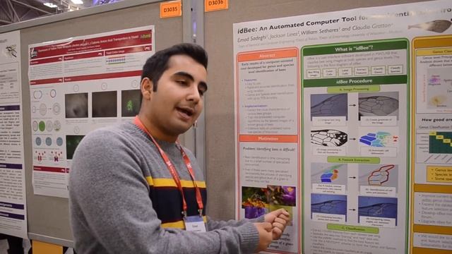 idBee - Taxonomy Without Taxing Effort смотреть онлайн