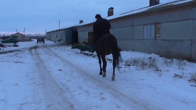 00017 смотреть онлайн