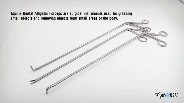 Equine Dental Alligator Forceps| Equine Dentistry | Dental Instruments смотреть онлайн