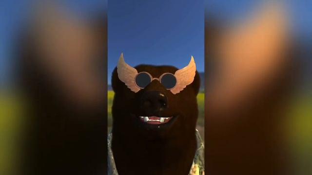 Взлом Телеканала ракосель (не фейк)￼ смотреть онлайн