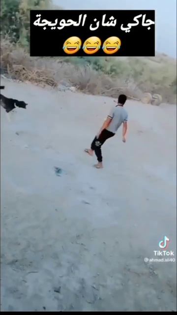 الرجل الذي يحارب الكلاب بحركات جاكي شان смотреть онлайн