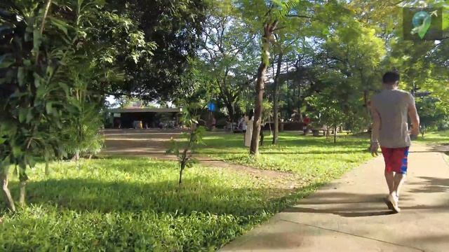 [4K] Nature vibe inside Valenzuela City Family Park 2022 | Walking Tour | Philippines смотреть онлайн