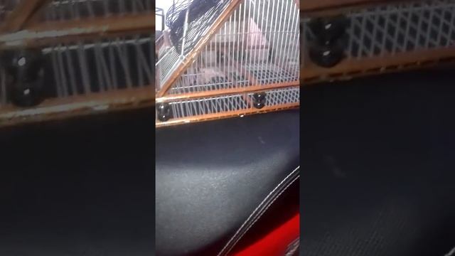 (Tramperos Salomon.facebook) La Rioja смотреть онлайн