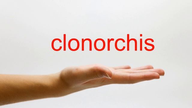 How to Pronounce clonorchis - American English смотреть онлайн