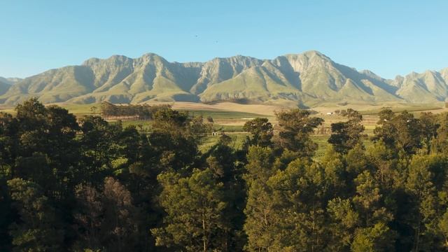 Лісова річка на тлі величних гір смотреть онлайн