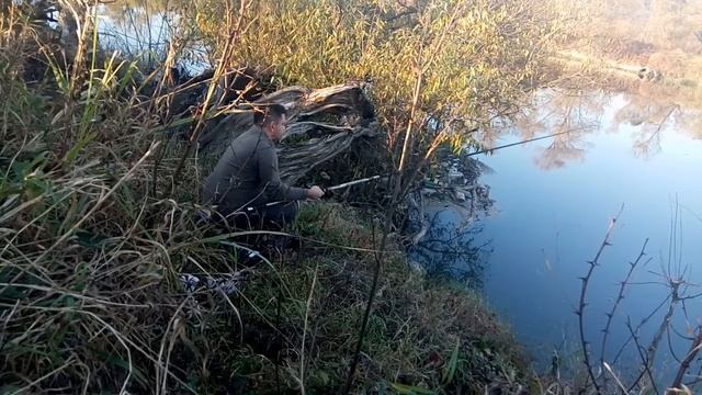 Pescuit la hrana de pisici смотреть онлайн