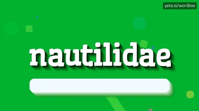 NAUTILIDAE - HOW TO SAY NAUTILIDAE? смотреть онлайн