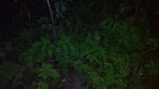 Ёжик в деревне смотреть онлайн