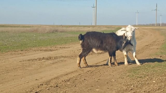 12 апреля 2024 г. смотреть онлайн
