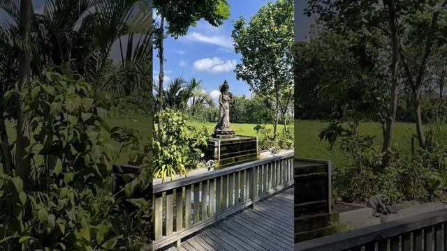 A Multimedia Tour of the Sacred Monkey Forest in Ubud Bali #monkey #animals смотреть онлайн