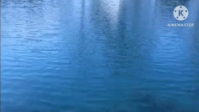 Мир неживой природы смотреть онлайн