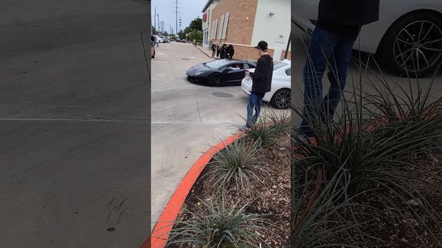 HOUSTON HOT CHICKEN GRAND OPENING/CAR MEET смотреть онлайн