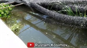 МАНАШУНДАЙ БАЛИК БОКИШ КЕРАК УЙ ШАРОИТИДА КУЛАЙ УСУЛИ ОХХИРГАЧА КОРИНГ