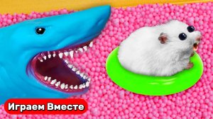 Хомяк сбегает из ОПАСНОГО ЛАБИРИНТА С ШАРИКАМИ И АКУЛОЙ ! Видео для детей