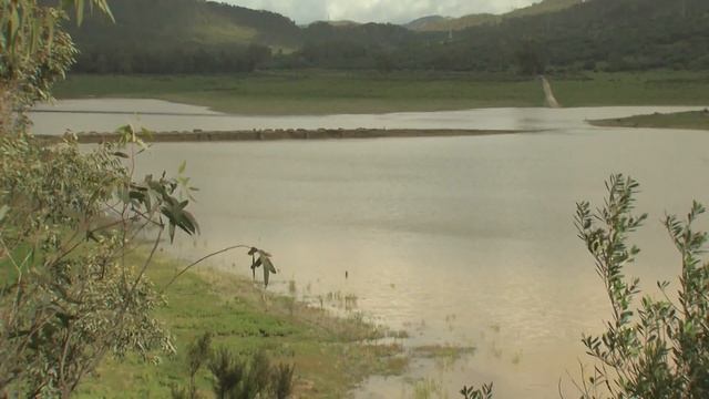 Los embalses del Campo de Gibraltar, ligeramente peor que hace un año смотреть онлайн
