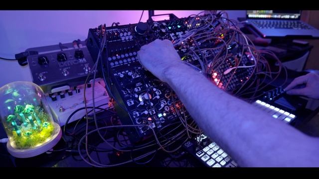 State Azure 'Arya' - Eurorack Ambient (Disting EX. Morphagene, Assimil8or, Oxi Coral)