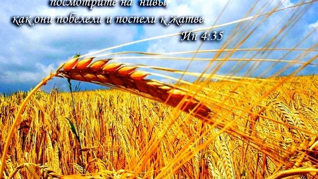 Новые нивы 101 Радиопередача из ФРГ г Гуммерсбах смотреть онлайн