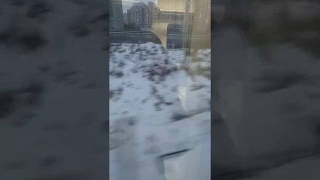 Электропоезд Ласточка платформы Ховрино Грачёвская 25 декабря 2020 год смотреть онлайн