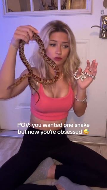 What’s your favorite pet? #fyp#foryou#4yp#foryoupage#youtube#snakes#reptiles#pets#forkids#snake#lol смотреть онлайн