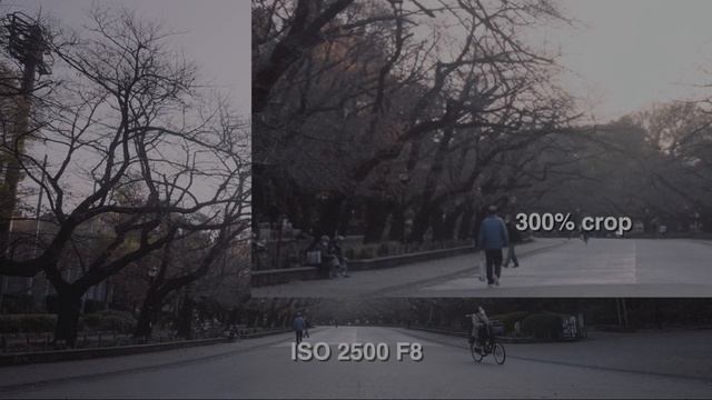 Zeiss Batis 2.8/18 Sharpness TEST Day2 [4K HDR] смотреть онлайн
