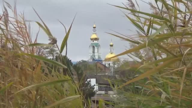 Кумженская роща Ноябрь 2024 Музыка осени смотреть онлайн