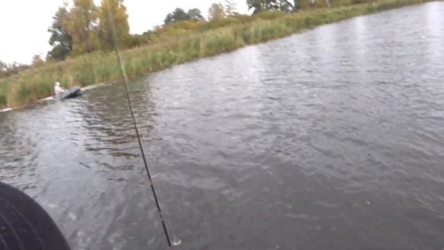 кийлівські щуки у жовтні#щука #спінінг #риболовля смотреть онлайн