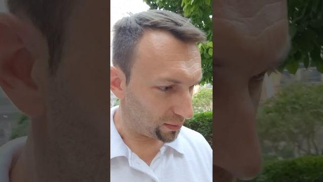В Дубае почти нет насекомых - мух, комаров, пчел, саранчи, муравьев, жуков, скорпионов, сколопендр. смотреть онлайн