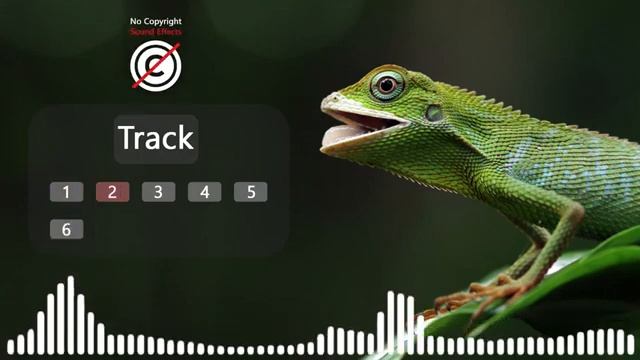 6 LIZARD SOUND EFFECTS | LIZARD NOISES | MONITOR LIZARD SOUND смотреть онлайн