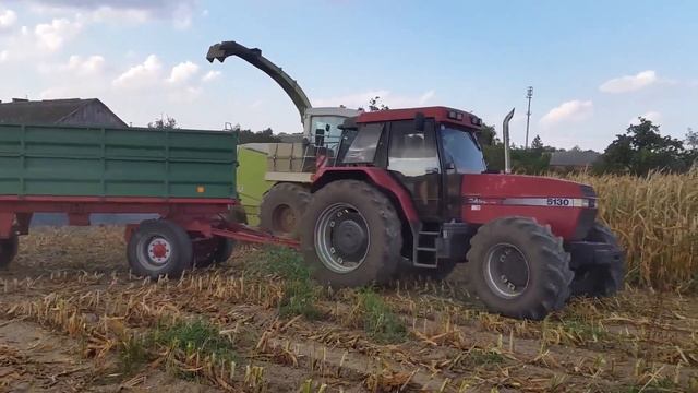 Kiszonka 2015 Claas Jaguar 860 3x New Holland T6 Case 5130 MF i reszta ;) смотреть онлайн