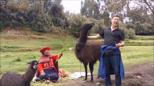 Смеяка смотреть онлайн
