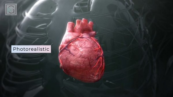 Стили анимации Grifon Media