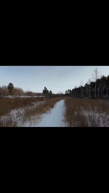 fpv Avata смотреть онлайн