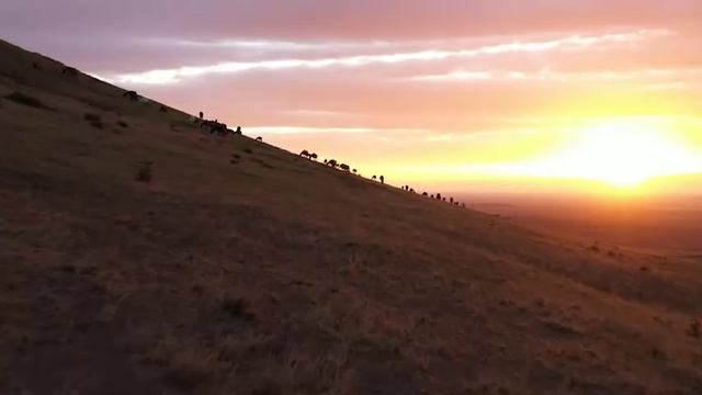 жаксылык кылсан озине жамандык кылсан озине смотреть онлайн