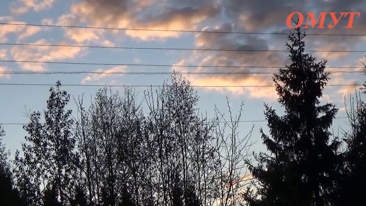 283. Собачки -ДРУЗЬЯ... смотреть онлайн