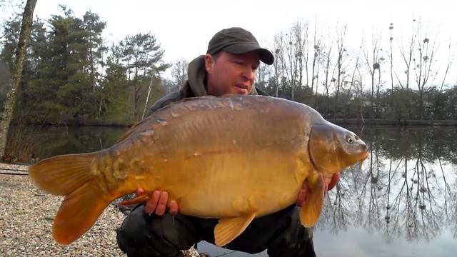 Carp fishing in France - Mirror Carp and Sturgeon in early season смотреть онлайн