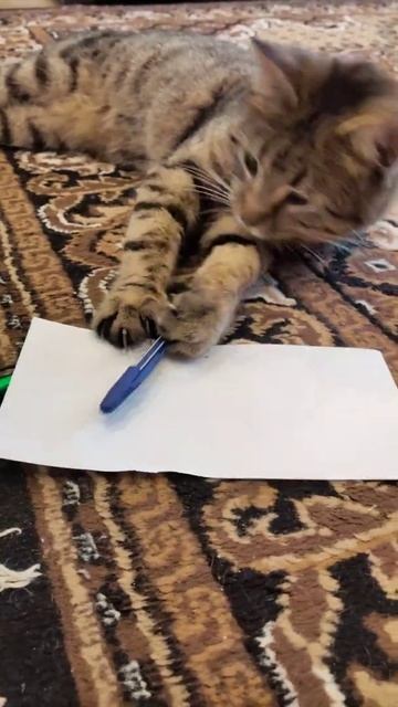 Напишу завещание Шарику усы ему и хвост! смотреть онлайн