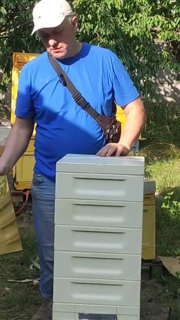 золотые купола на пасеке)) смотреть онлайн