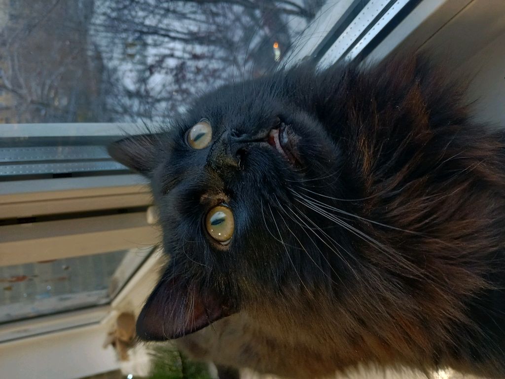 Заходи 😶🌫️❤️ смотреть онлайн